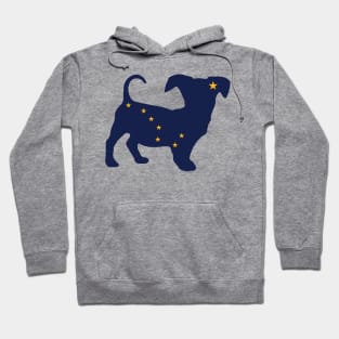 Chiweenie Dog Lover Alaska Flag Hoodie